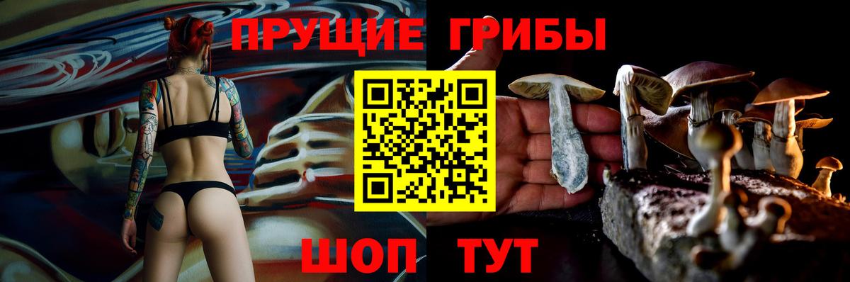 Псилоцибиновые грибы ЛСД  Вход с VPN  Горячий Ключ 