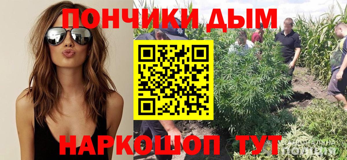 Бошки марихуана Ganja  Бошки Шишки сатива  Горячий Ключ  Марихуана Bruce Banner  Канабис планчик  Вход с VPN 